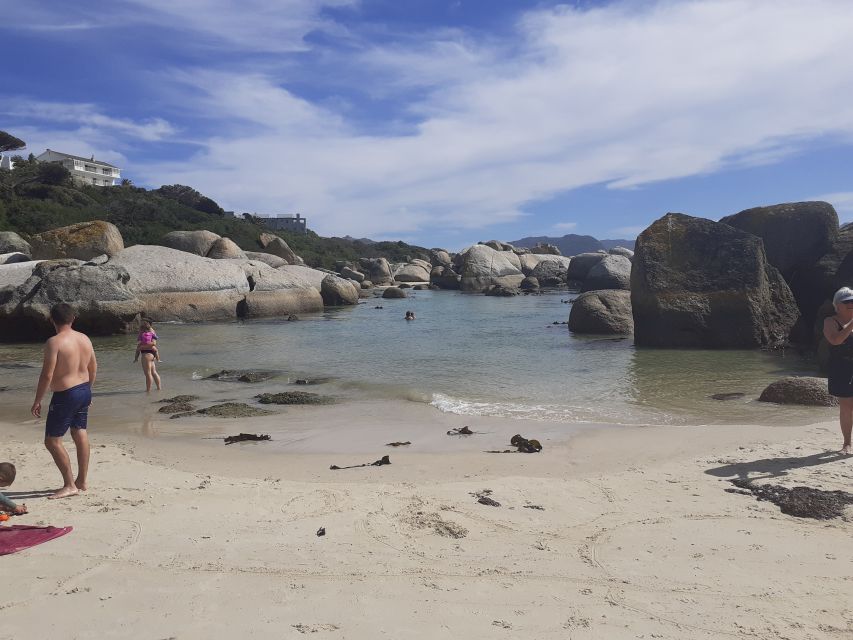 Cape of Good Hope: Sightseeing and African Penguins Tour - What the guide can add to the day