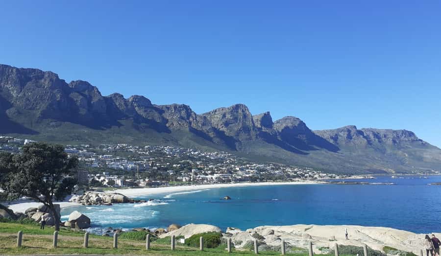 Cape of Good Hope: Sightseeing and African Penguins Tour - Hout Bay and the optional Seal Island outing