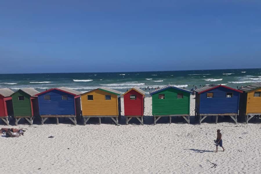 Cape of Good Hope: Sightseeing and African Penguins Tour - Boulders Beach is the main wildlife appointment