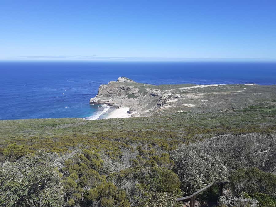 Cape of Good Hope: Sightseeing and African Penguins Tour - Cape of Good Hope and Cape Point