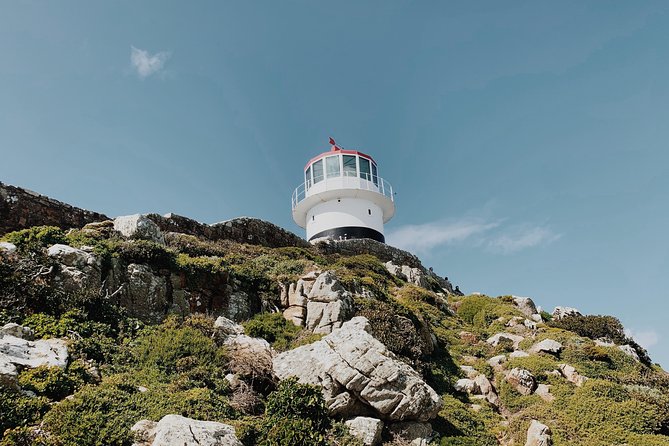 Cape of Good Hope, Table Mountain & Penguins Private Tour from Cape Town - Boulders Beach makes the long route worthwhile