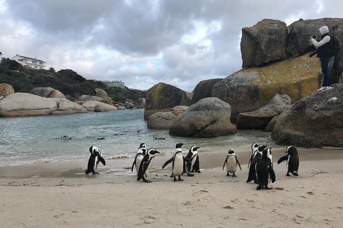 Cape Peninsula Adventure - Muizenberg, Kalk Bay, and the final coastal stretch