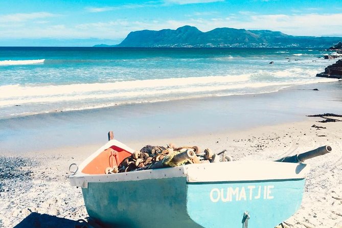 Cape Peninsula Adventure - What the private format really adds