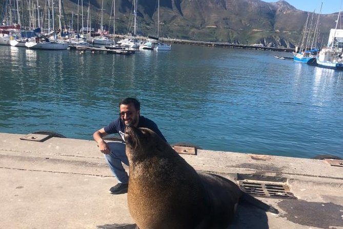 Cape Peninsula Adventure - Is $115 a good price?