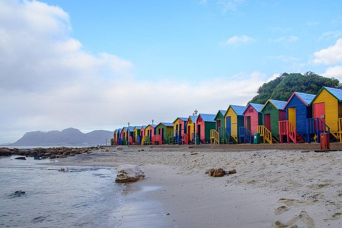 Cape Peninsula and Boulders Full Day Tour with Private Transfer - Chapmans Peak Drive is a major reason to take this route