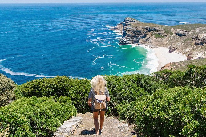 Cape Peninsula and Boulders Full Day Tour with Private Transfer - Cape Point brings the biggest views and the best wildlife chances