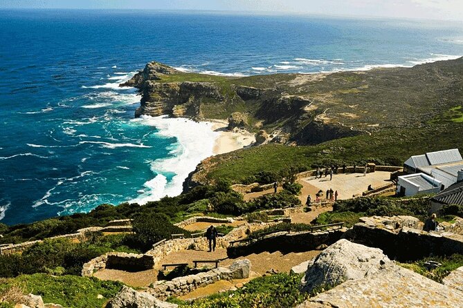 Cape Peninsula Cape of Good Hope and Penguins Tour in Cape Town - Hout Bay gives you a choice about seals