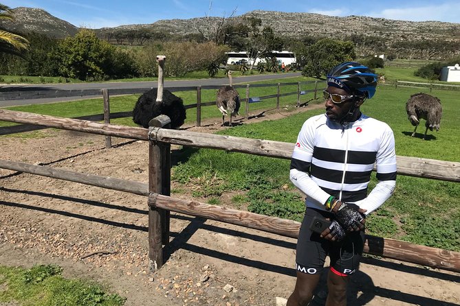 Cape Peninsula Cycle Tour - Cycling Chapman’s Peak Drive