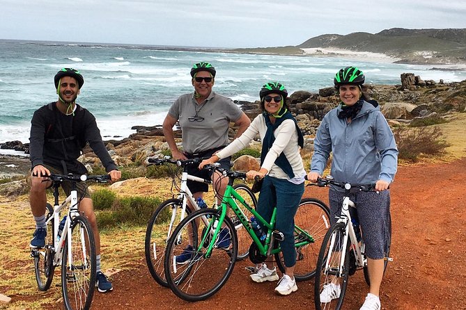 Cape Peninsula E-bike Cycle with Vehicle - Private Tour - Meeting the African penguins at Boulders Beach