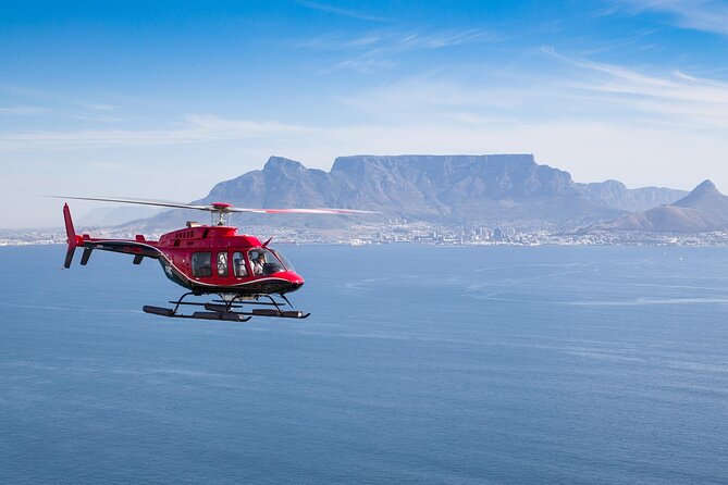 Cape Peninsula Helicopter Private Tour with Stellenbosch Wine Tasting & Lunch - Key points to know before booking