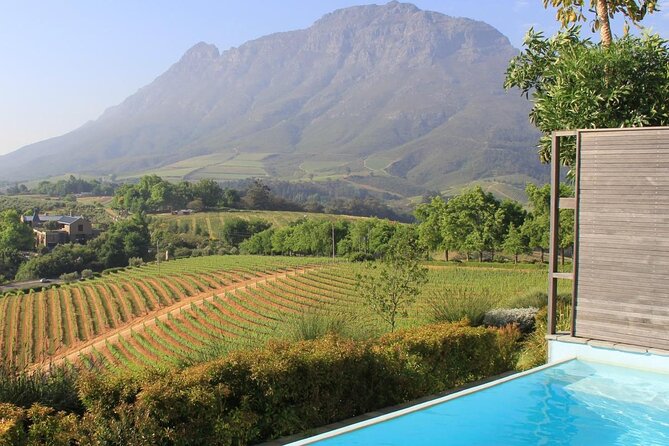 Cape Peninsula Helicopter Private Tour with Stellenbosch Wine Tasting & Lunch - A grand start at the V&A Waterfront