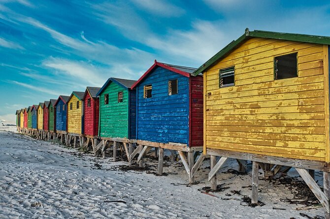 Cape Peninsula & Penguins Private Day Tour, Entrances Included. - Hout Bay and Duiker Island: an optional seal outing