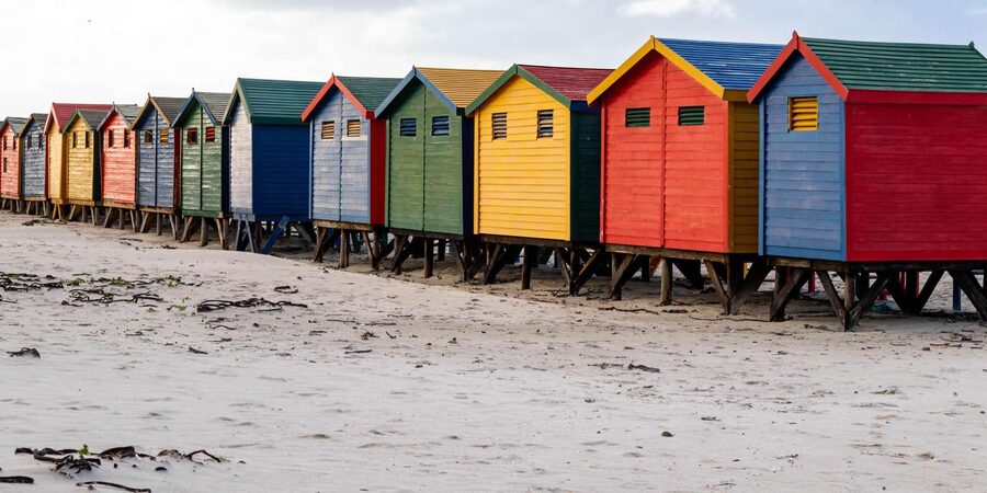 Cape Peninsula: Private Full Day Tour - What $225 per person really covers