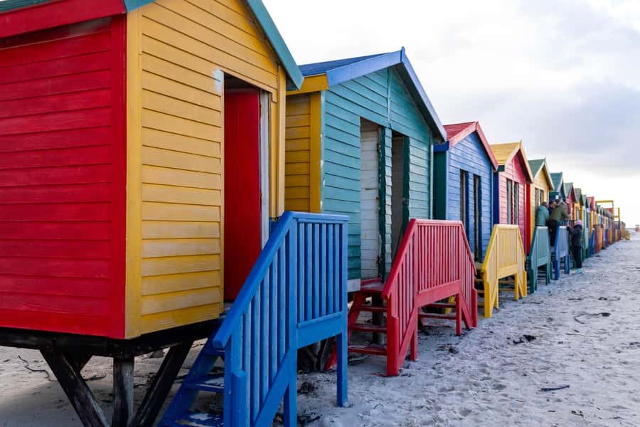 Cape Peninsula: Private Full Day Tour - Cape Point Reserve and the Cape of Good Hope