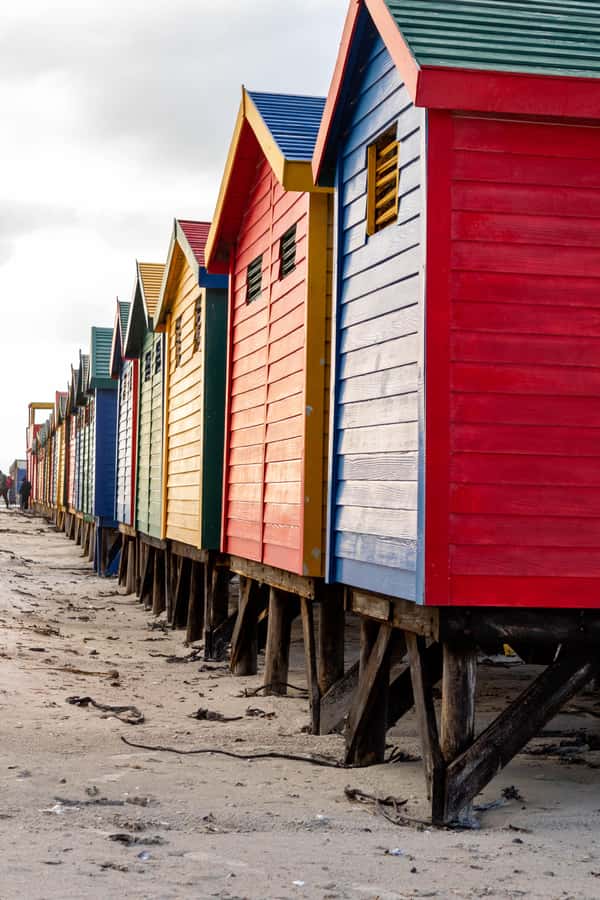 Cape Peninsula: Private Full Day Tour - Simon’s Town after the main sights