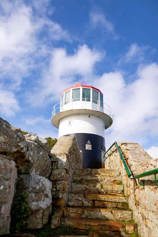 Cape Peninsula: Private Half Day Tour - From Clifton and Camps Bay to the open Cape