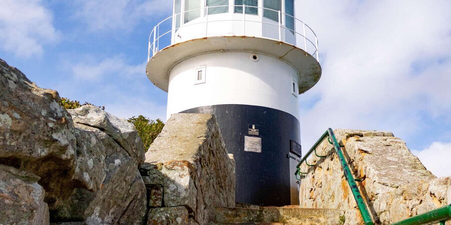 Cape Peninsula: Private Half Day Tour - Should you book the private Cape Peninsula tour?