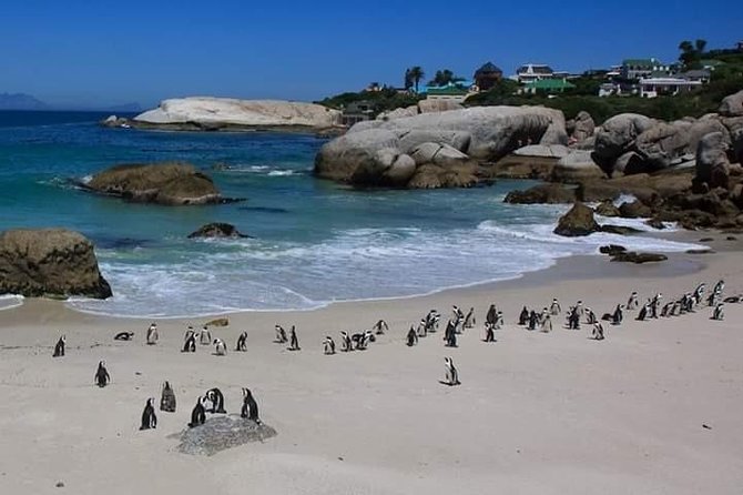 Cape Peninsula Private Tour - Maidens’ Cove starts the day with a wide coastal view