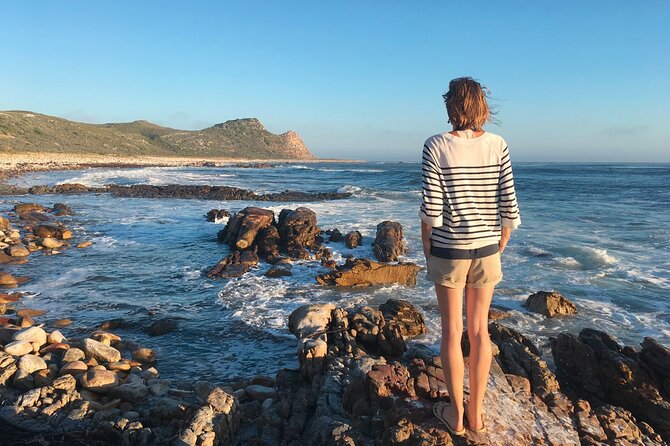 Cape Peninsula Private Tour In Cape Town South Africa - What this private Cape Peninsula tour is really trying to do