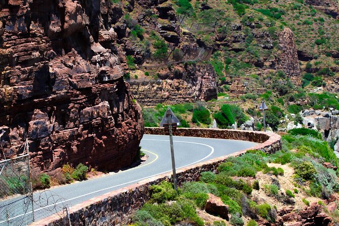 Cape Peninsula Private Tour Include Park Fees - Chapman’s Peak is the road highlight