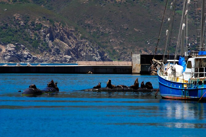Cape Peninsula Private Tour Include Park Fees - Noordhoek Farm Village adds a relaxed pause