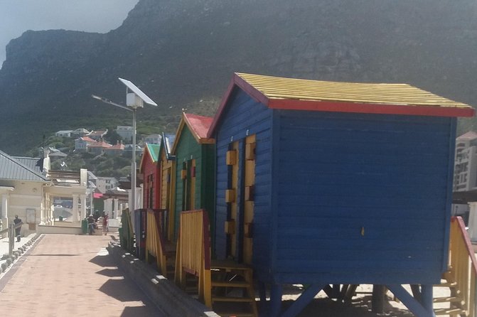 Cape Peninsula Private Tour - Chapman’s Peak Drive is the scenic centerpiece