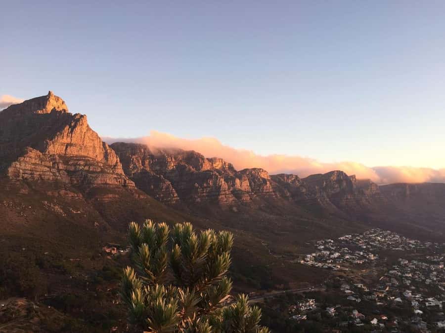 Cape Peninsula Shared Half-Day Tour - Why this half-day route works