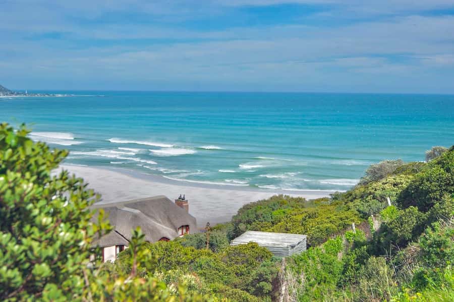 Cape Peninsula Shared Half-Day Tour - What $87 buys you