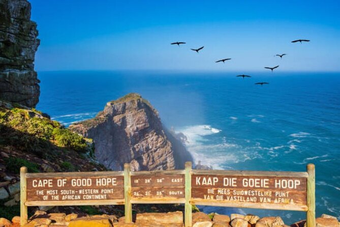 Cape Peninsula Tours - Hout Bay and the ferry to Seal Island