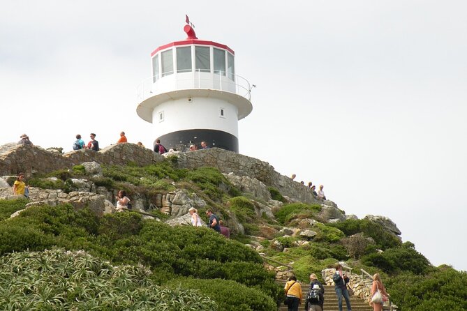 Cape Peninsula Tours - The drive-by views are part of the experience