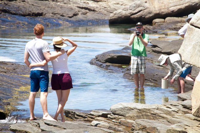 Cape Peninsula with a Marine Biologist - Why this tour feels different from a standard Cape Peninsula drive
