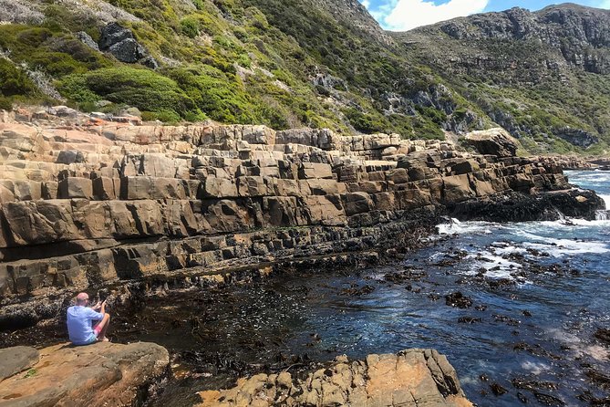 Cape Peninsula with a Marine Biologist - Rooibos, rusks, and a quieter Cape of Good Hope shoreline