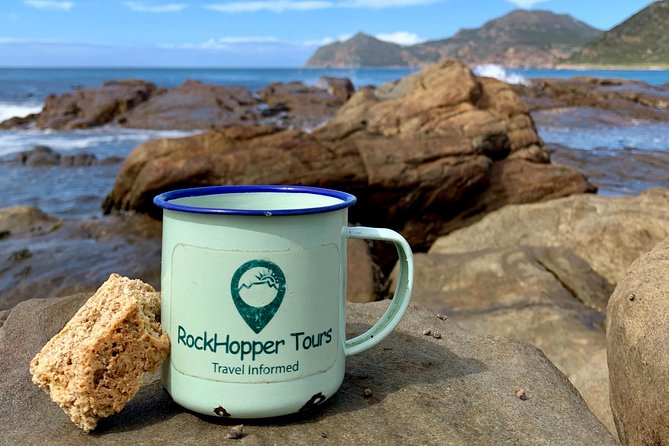 Cape Peninsula with a Marine Biologist - What the included equipment adds