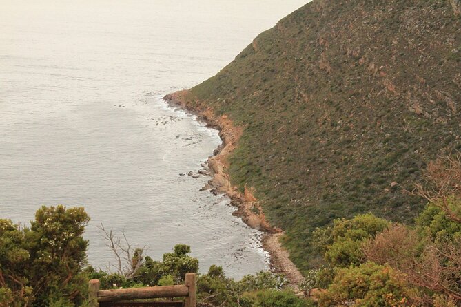 Cape Point and Cape of Good Hope day tour Up to 10 persons - The Atlantic-side return through Scarborough and Kommetjie