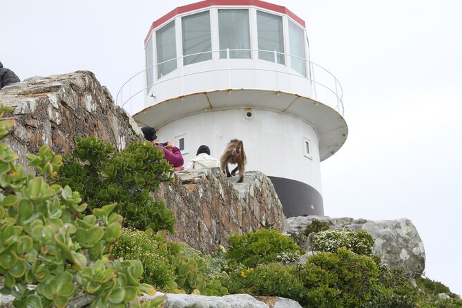 Cape Point and Cape of Good Hope day tour Up to 10 persons - What the $68.42 price includes
