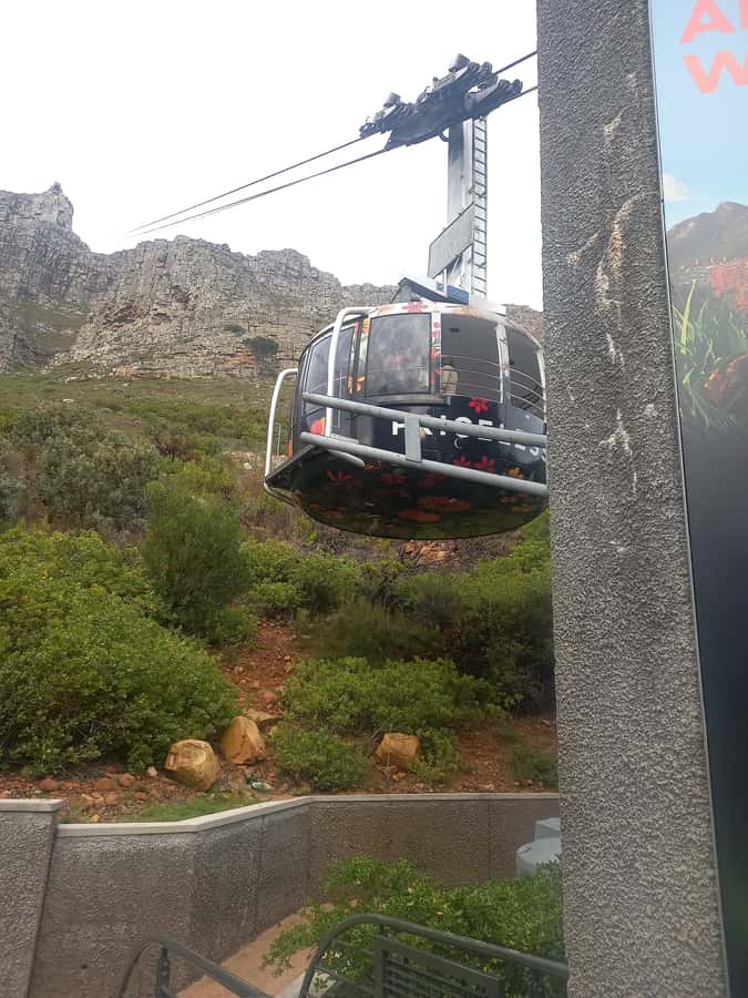 cape point and penguin ,muizenberg, bookapp - Cape Point and the reserve entrance fee