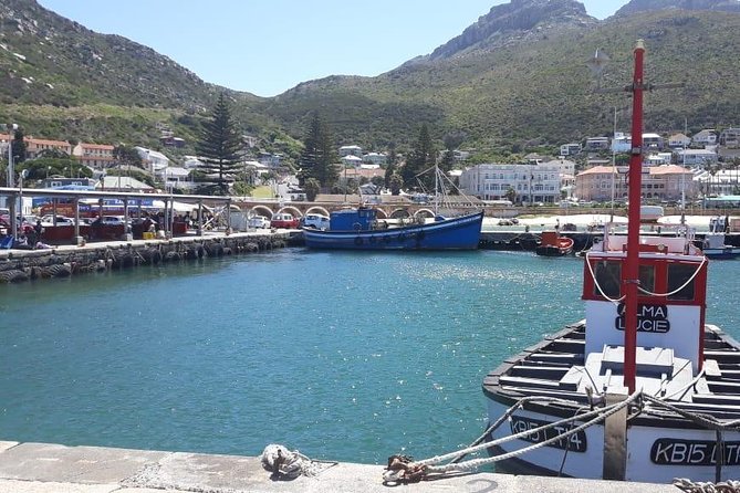 Cape Point, Boulder's Beach in Private Car Entrance Fees Included - Price, Timing, and What to Confirm