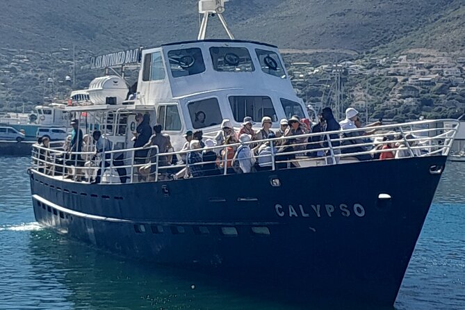 Cape Point Cape Of Good Hope And Penguins Private Tour - A private day along the Cape Peninsula
