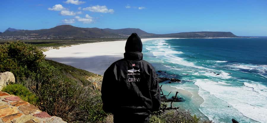Cape Point Cape of Good Hope, Penguins Private Half day Tour - The lighthouse walk and the best views of the day