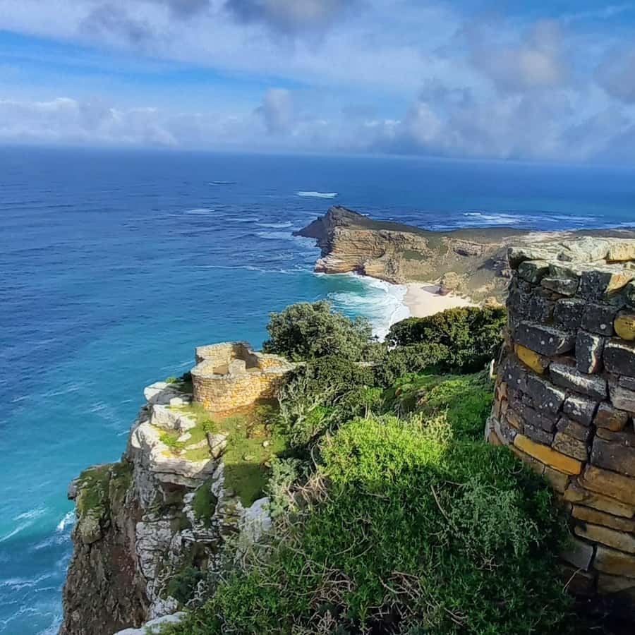 Cape Point Cape of Good Hope, Penguins Private Half day Tour - Chapman’s Peak Drive on the return