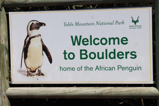 Cape Point Explore with Boulder's Penguins Small Group Day Tour - Why this Cape Peninsula tour works so well