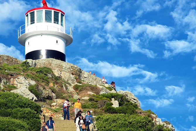 Cape Point Explore with Boulder's Penguins Small Group Day Tour - Cape Point offers more than a lighthouse photo