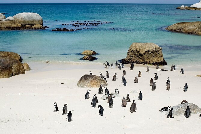 Cape Point Full Day Tour - Is $201.15 per person good value?