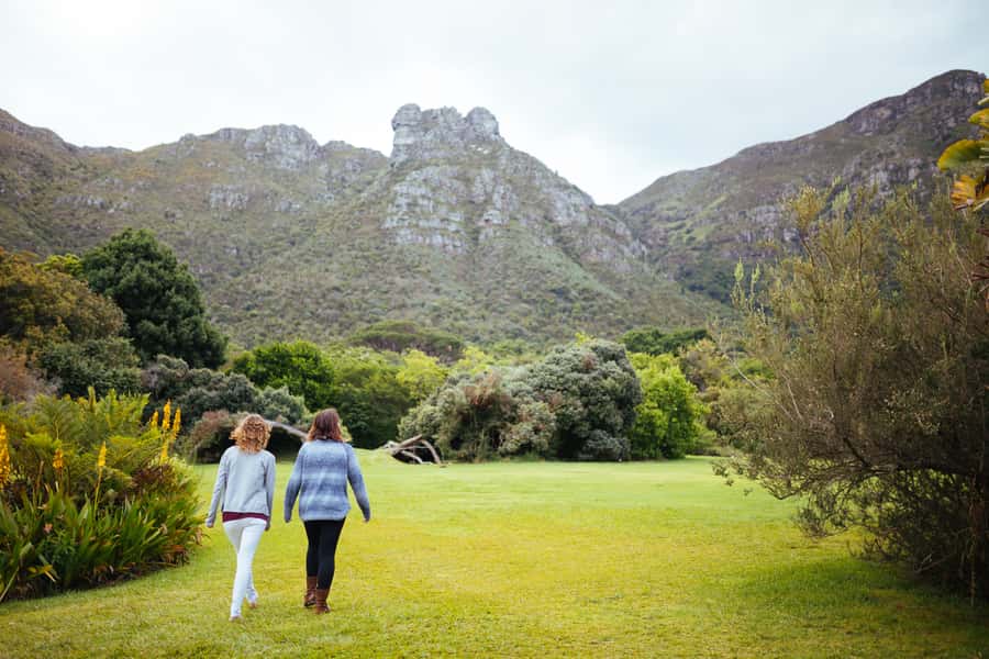 Cape Point Full-Day Tour From Cape Town - Table Mountain National Park and the Cape Point lighthouse