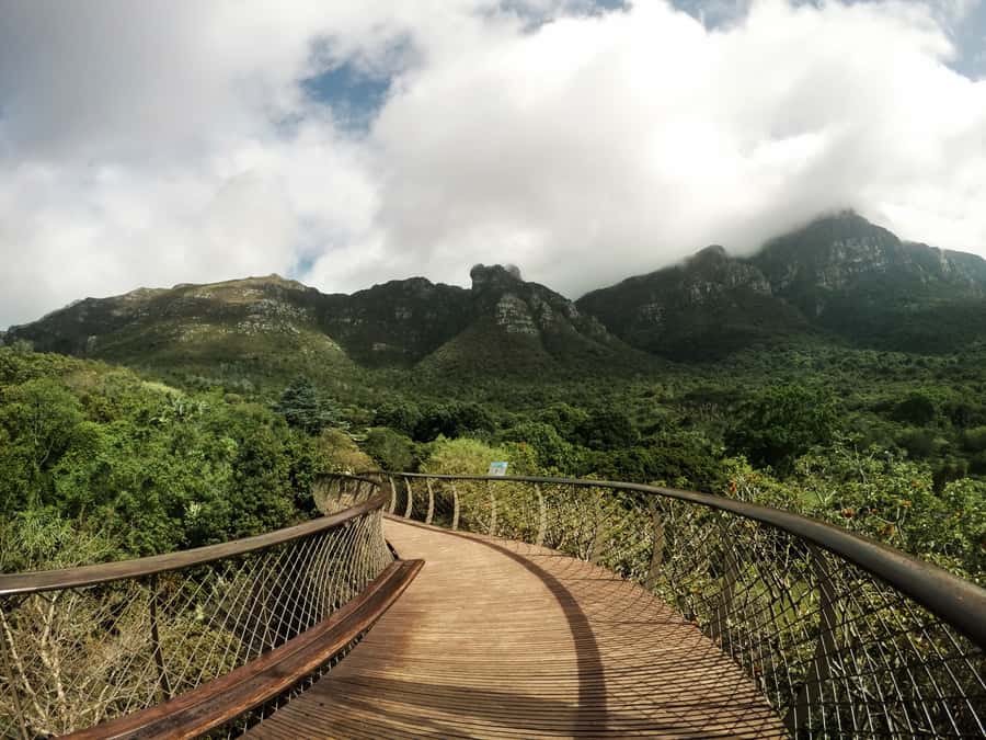 Cape Point Full-Day Tour From Cape Town - Simons Town, lunch, and the practical rhythm of the day