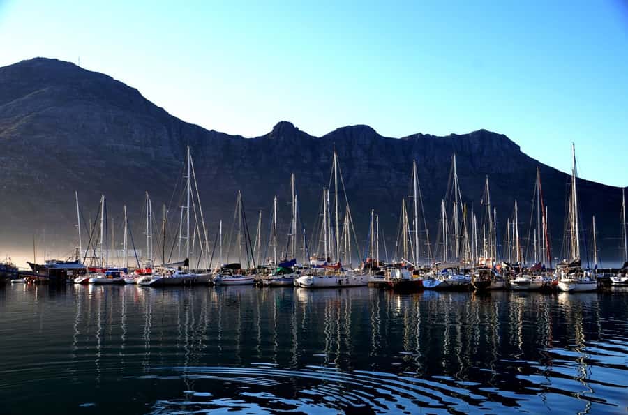 Cape Point Full-Day Tour From Cape Town - What the $113 price gets you