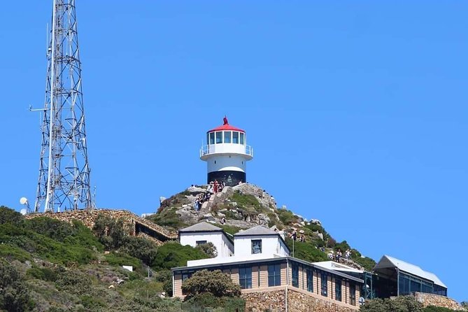 Cape Point & Penguin Explorer Tour - Why this Cape Peninsula day works