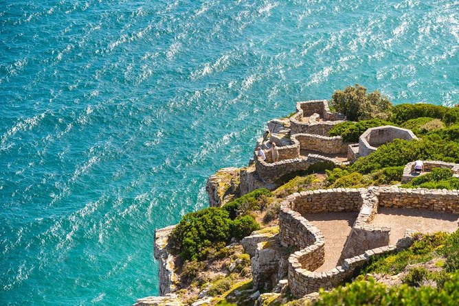Cape Point Penguin Tour - From Clifton to Camps Bay, the day starts with sea views