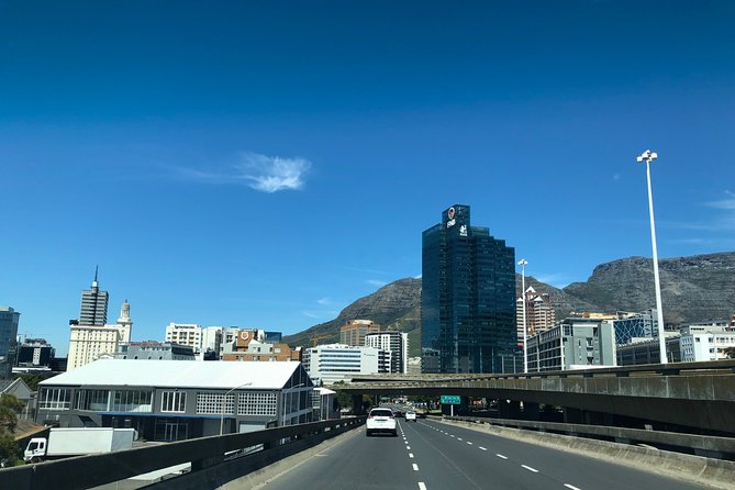 Cape Point Penguin Tour - Chapman’s Peak is one of the day’s best drives