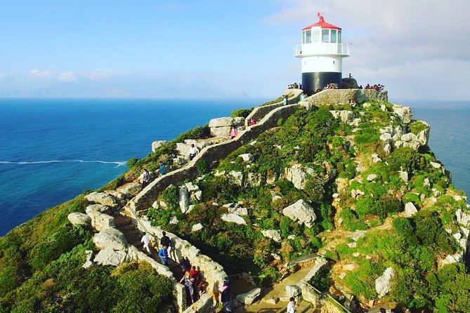 Cape Point Penguin Tour - Simon’s Town leads to the Boulders Beach penguins